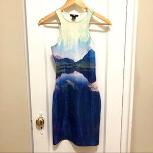 HM Sexy Bodycon Photoreal Mountain Scene Dress